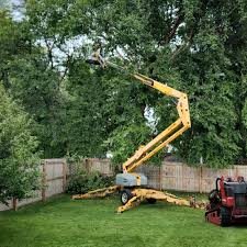 Best Tree Trimming and Pruning  in Zephyrhills, FL